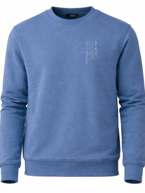 Buzo a la Base Estampa pequeña